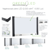 Negatoscopios green led Negatoscopio LED 4 Placas de Alta Definición Tecnología de Retroalimentación LED