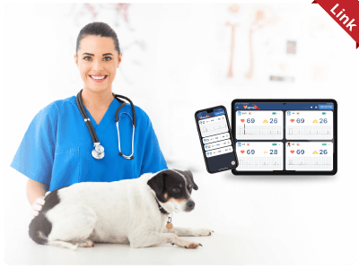 Monitor Veterinario BIONET VEMO: Monitorización ECG Inalámbrica y Revolucionaria para Clínicas Veterinarias 72h de batería. Monitor veterinario vemo 1