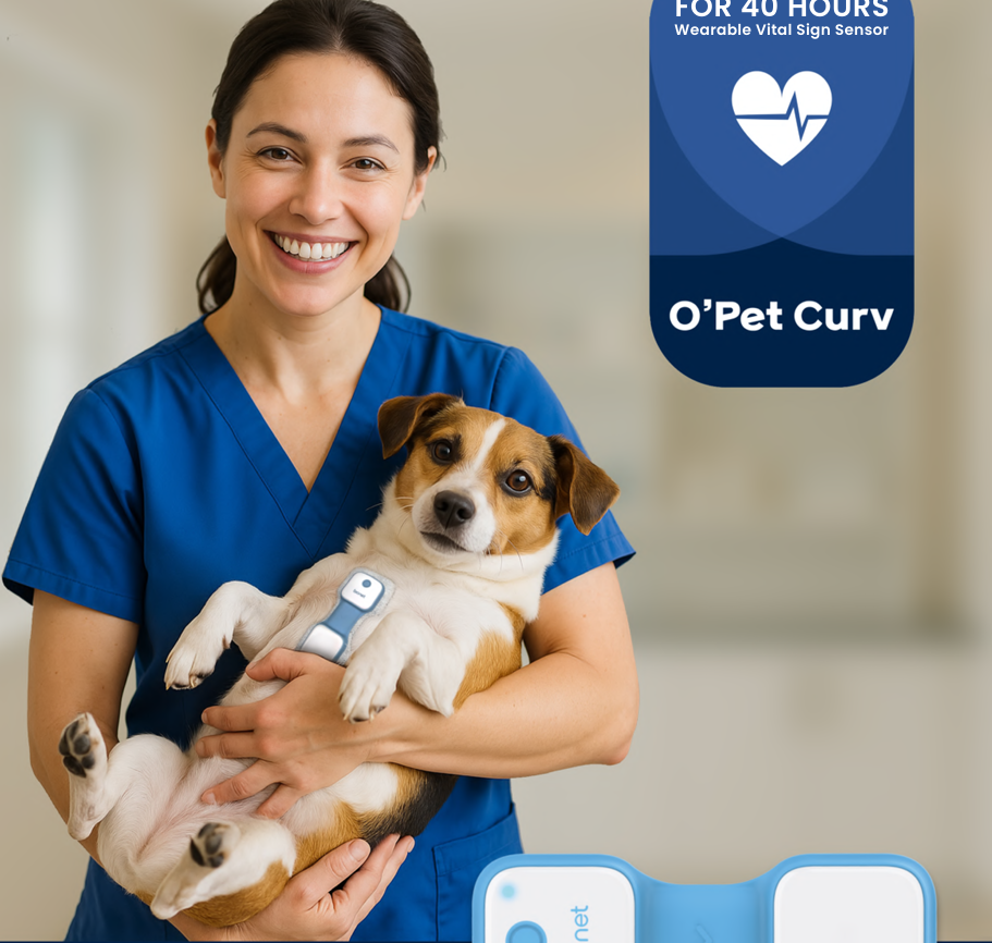 Monitor Veterinario BIONET VEMO: Monitorización ECG Inalámbrica y Revolucionaria para Clínicas Veterinarias 72h de batería. monitor vemo sensor